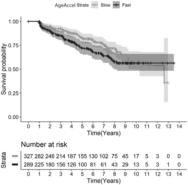 FIGURE 2: :