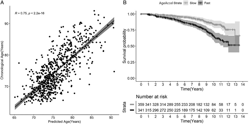 FIGURE 1: :