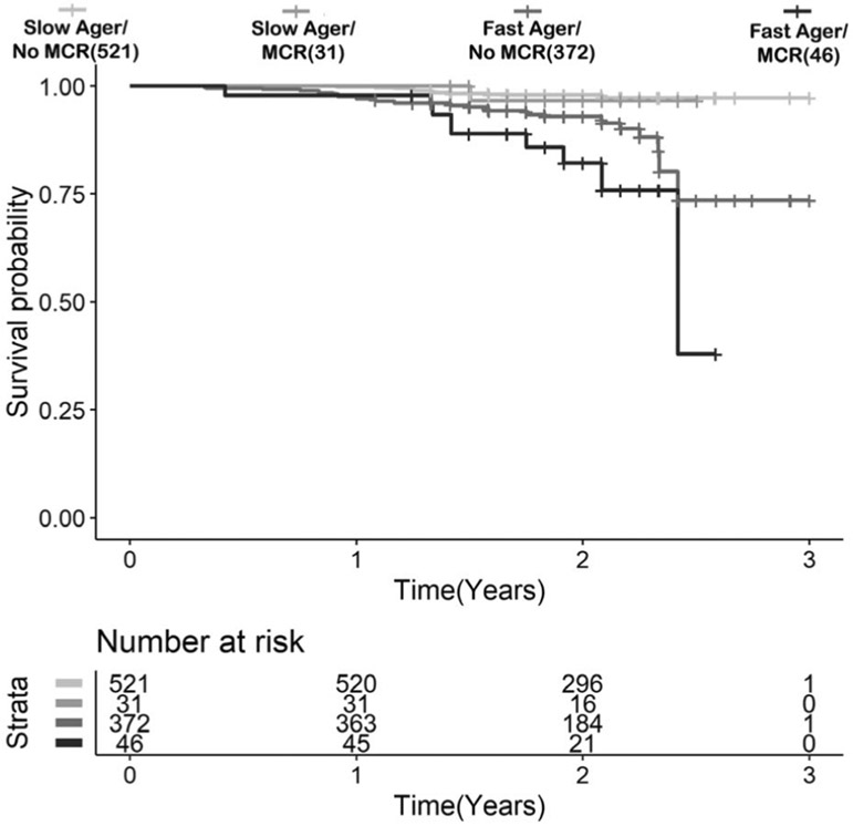 FIGURE 4: :