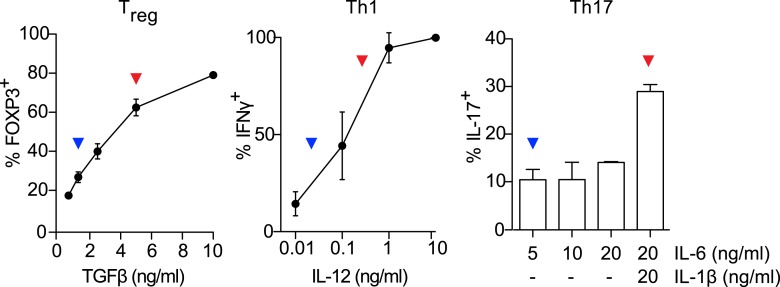 Figure 1—figure supplement 1.