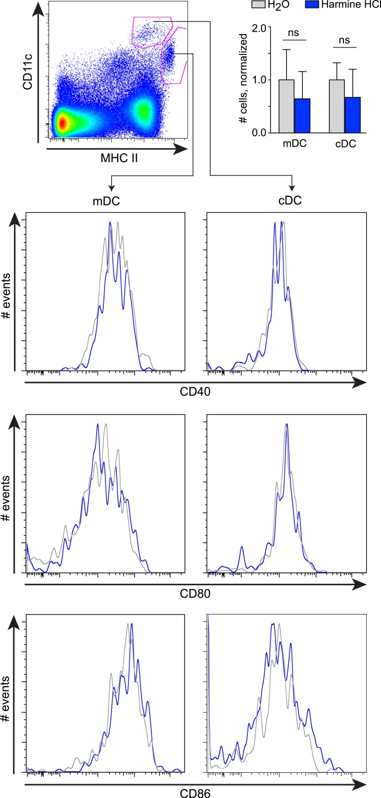 Figure 2—figure supplement 2.