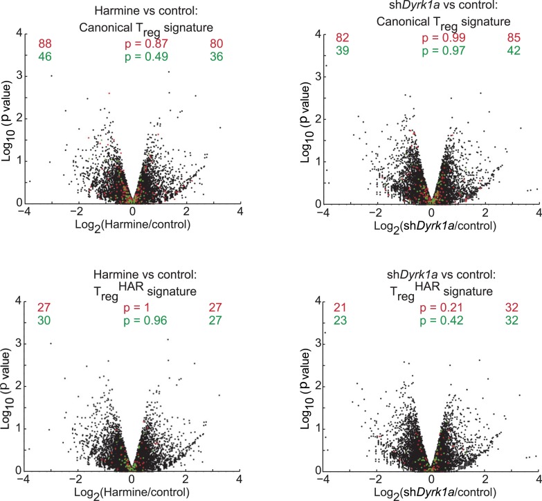 Figure 4—figure supplement 3.