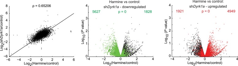 Figure 4—figure supplement 2.