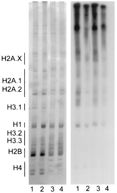 FIG. 8