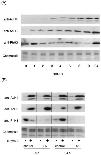 FIG. 7