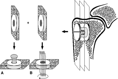 Fig. 2A–B