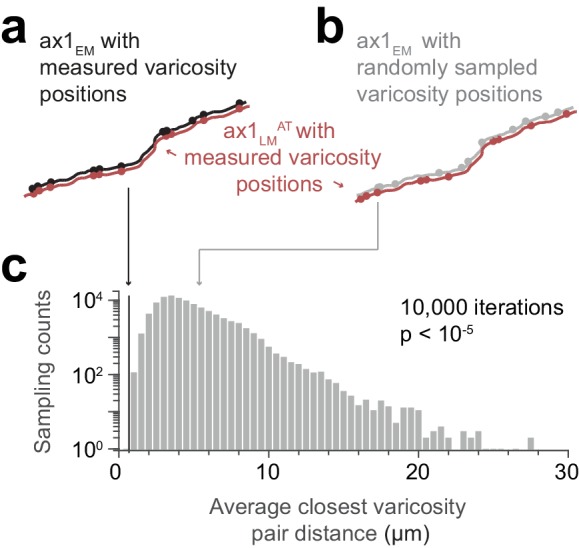 Figure 4—figure supplement 1.