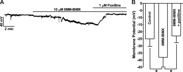 Fig. 6.