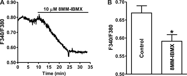 Fig. 8.