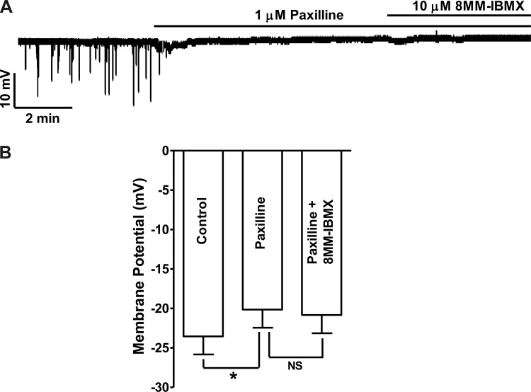 Fig. 5.