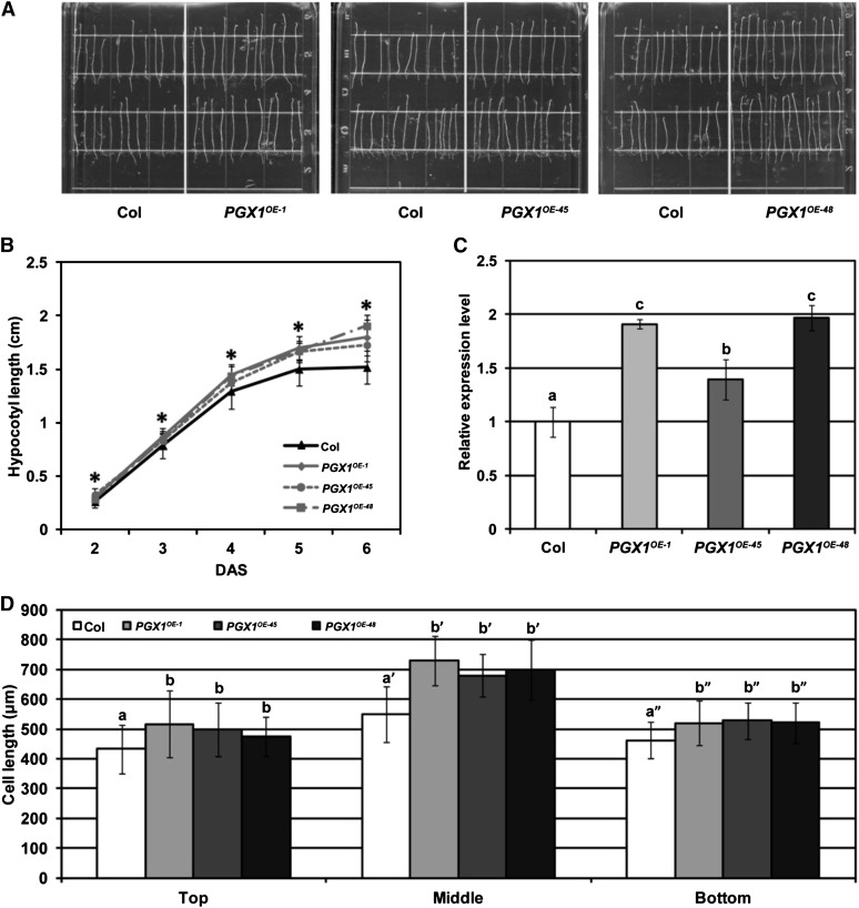 Figure 2.