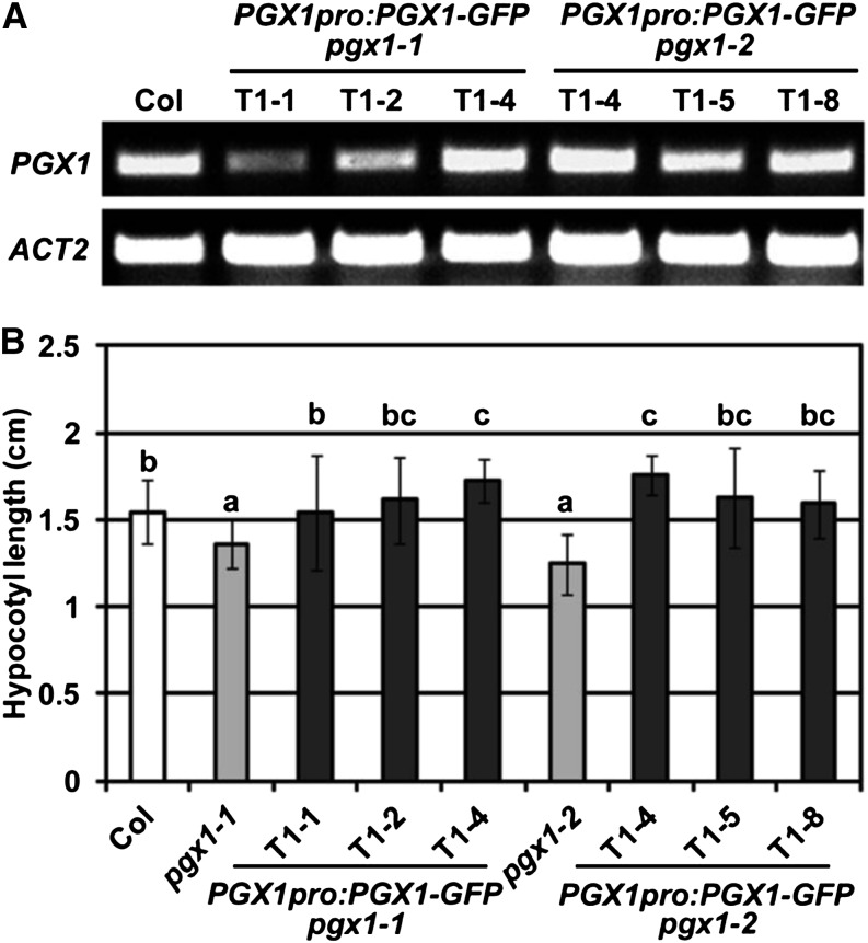 Figure 4.