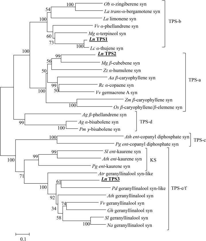 Figure 3.