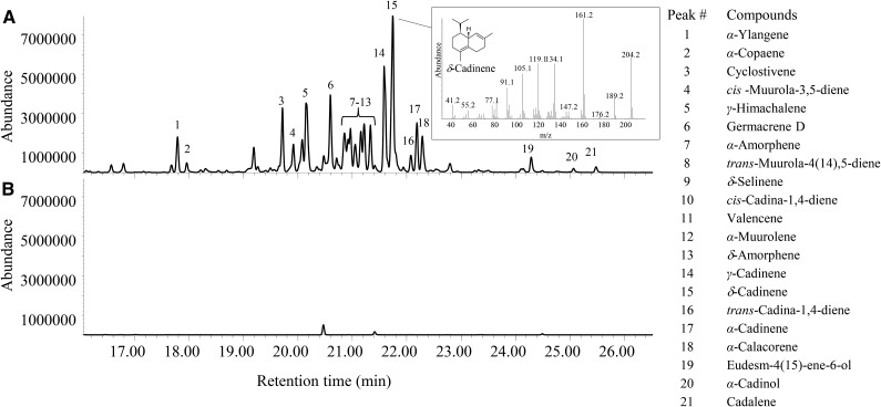 Figure 5.