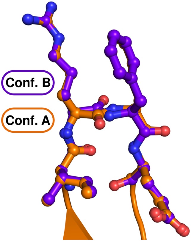 Figure 2—figure supplement 1.