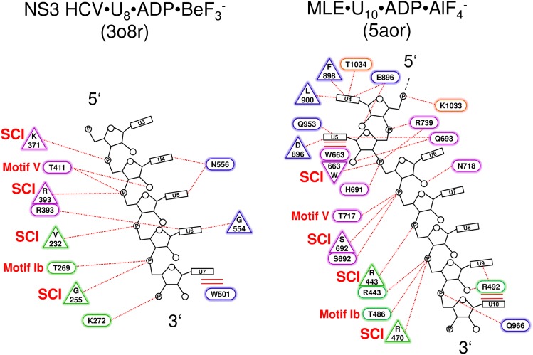 Figure 1—figure supplement 4.