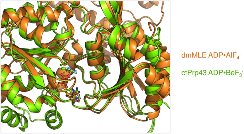 Figure 6—figure supplement 1.