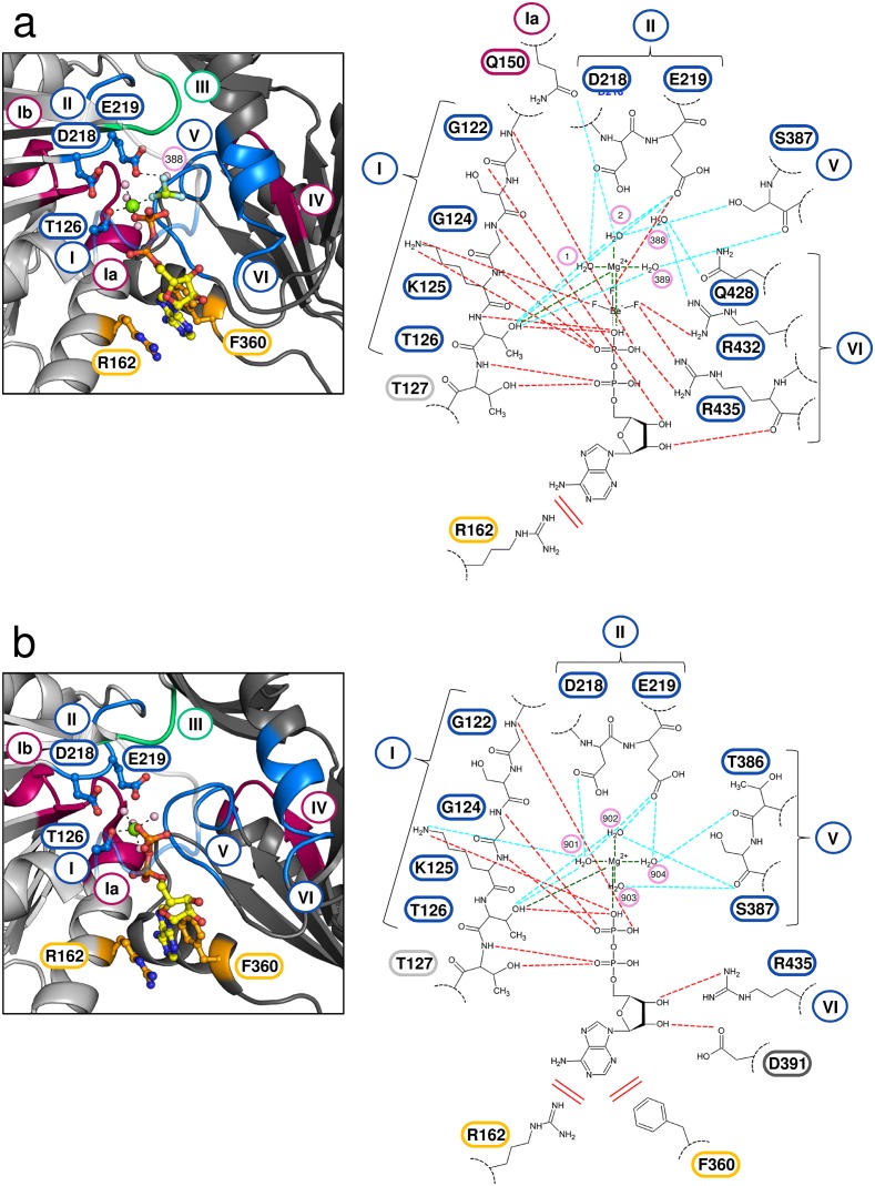 Figure 6.