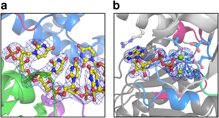 Figure 1—figure supplement 1.