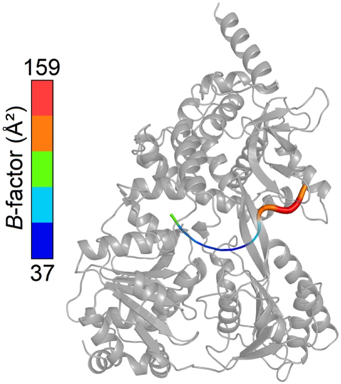 Figure 1—figure supplement 3.