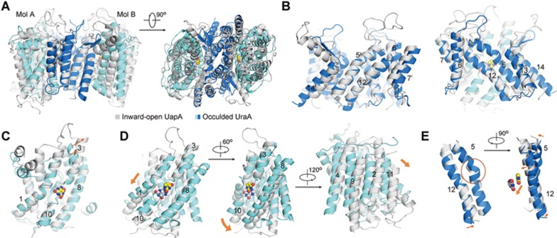 Figure 6