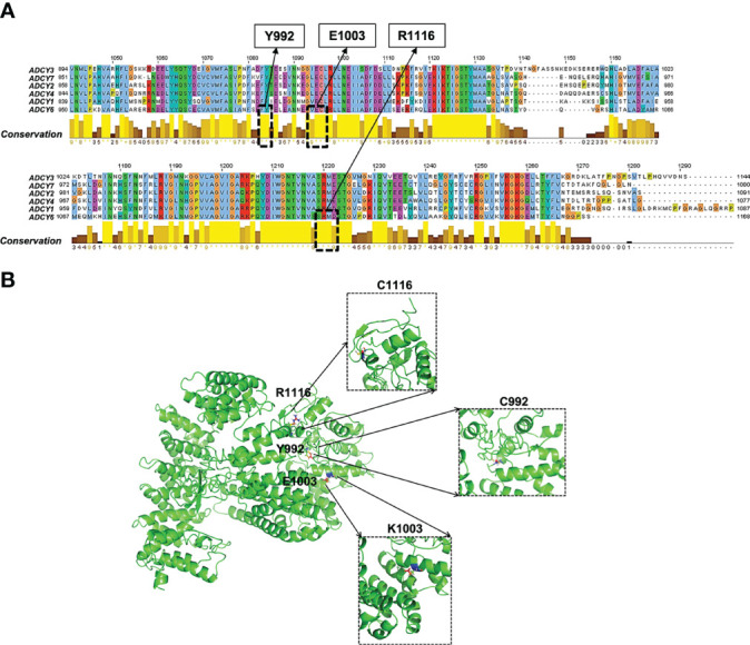 Figure 3