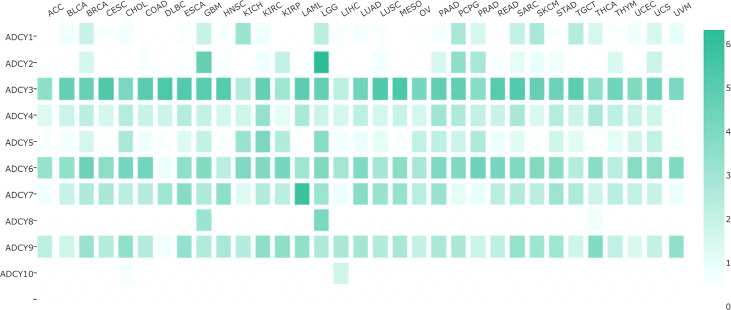 Figure 4