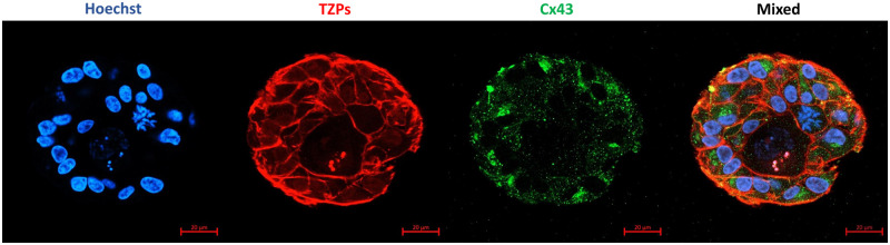 Figure 6.