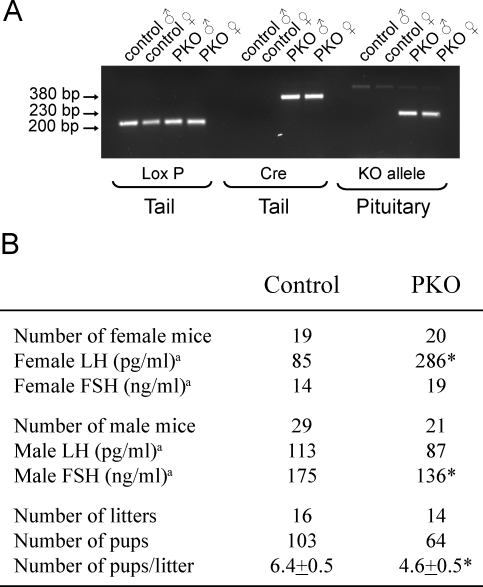 FIG. 9.