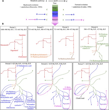 Fig. 7