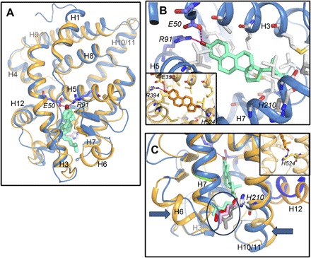 Fig. 6