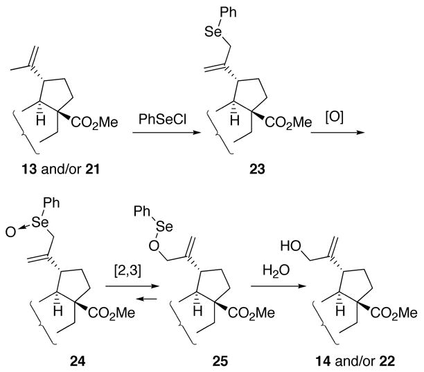 Scheme 3