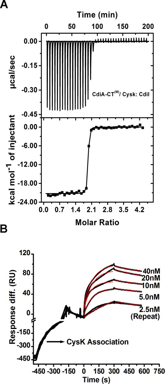 Fig 5