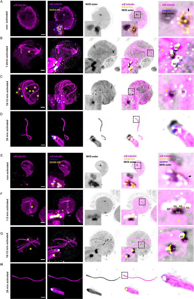 Fig 6