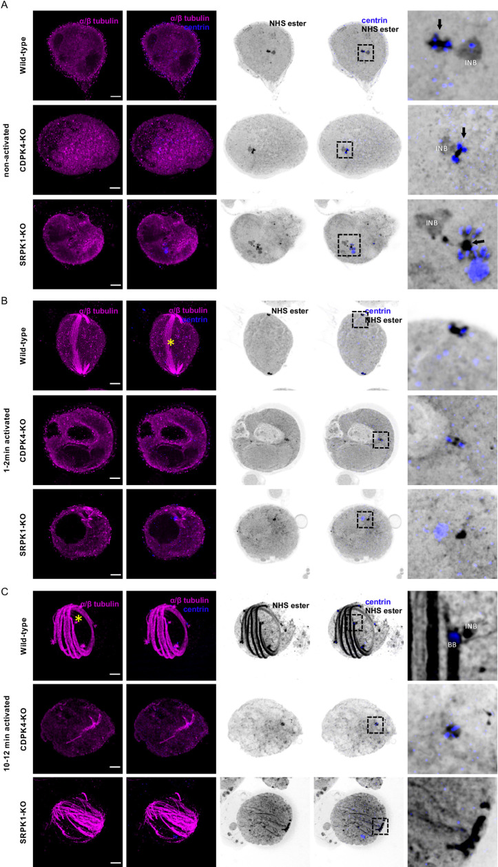 Fig 9