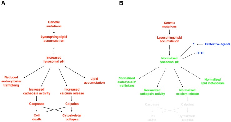 Fig 10