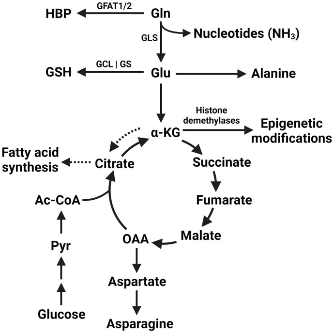 Figure 1