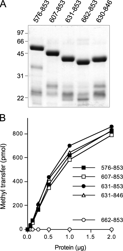 FIGURE 9.