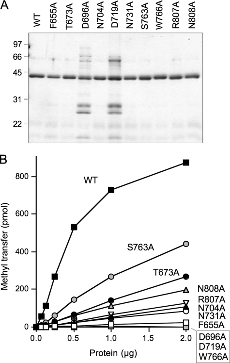 FIGURE 10.