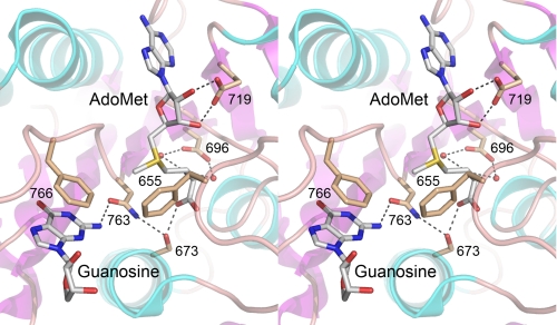 FIGURE 11.