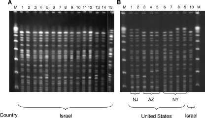 FIG. 1.