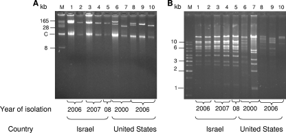 FIG. 2.