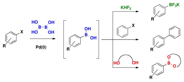 Scheme 1