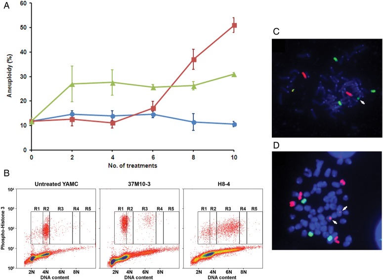 Figure 2