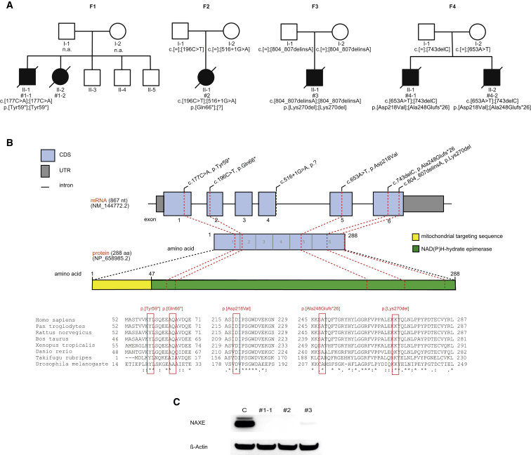 Figure 3