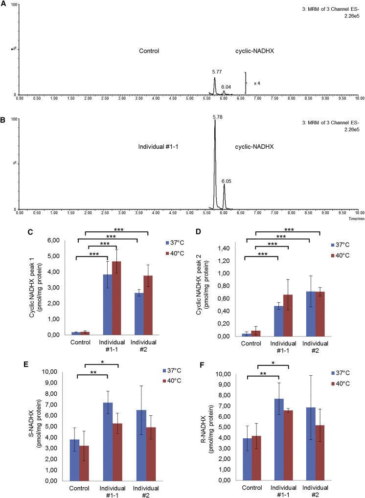 Figure 4