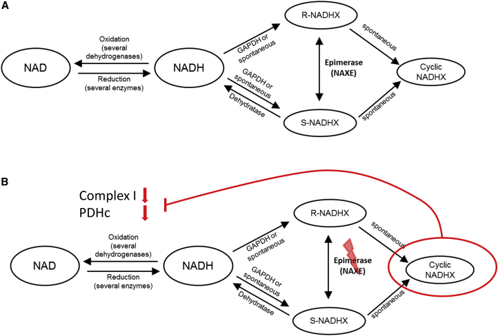 Figure 1