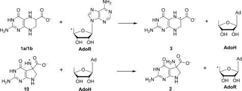 Scheme 3