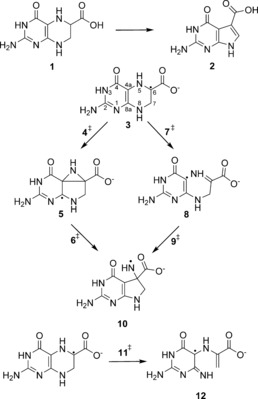 Scheme 1