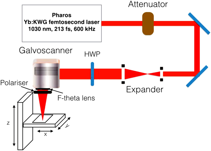 Figure 5